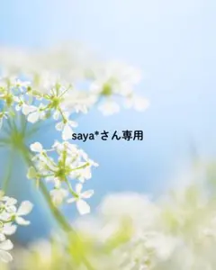 saya*さん専用2点おまとめ