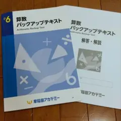 2025年最新】早稲田アカデミー 小6 バックアップテキストの人気