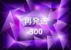 【専用】300