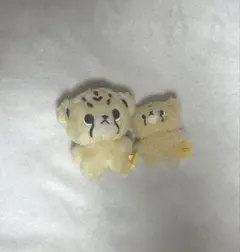 2025年最新】チーターリー nctの人気アイテム - メルカリ