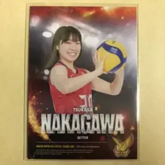 たつや様 リクエスト 2点 まとめ商品