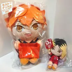 フリューくじ ハイキュー ぬいもっち ラストゲット 日向 翔陽 D賞 孤爪 研磨