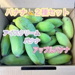 沖縄県産 バナナ2種 食べ比べセット 約2kg（アップル＆アイスクリーム）のサムネイル
