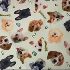 犬　わんこ　ポリエステル プリント生地　アニマル　２枚セット　まとめ売り