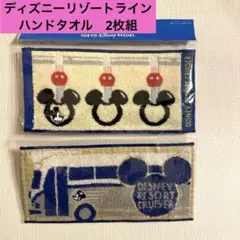 ディズニーリゾート タオルセット　2枚組　リゾートライン　リゾラ