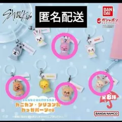 スキズ skzoo めじるしアクセサリー ガチャ