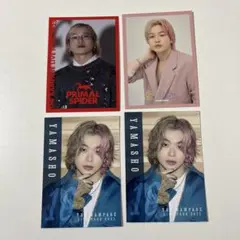 THERAMPAGE 山本彰吾 フォトカ セット