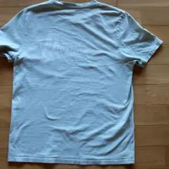 PILGRIM Surf+Supply ピルグリム ペナントロゴT レアカラーのサムネイル