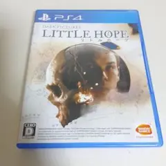 PS4 ダークピクチャーズ:リトル・ホープ