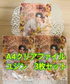 ZEROBASEONE ユジン クリアファイル　3枚セット（まとめ買い大歓迎！）