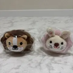 Item thumbnail for item c8999b53-8f22-4f77-9f24-6b61184f64a0