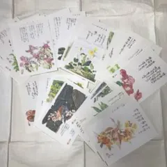 中国切手 花シリーズ コレクション レトロ 未使用 5枚セット - メルカリ