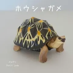 値下！【VINTAGE】MURANO ガラス 置物 タートル 亀 - メルカリ