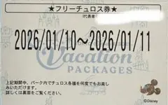 1月10.11日フリーチュロス券　ディズニー