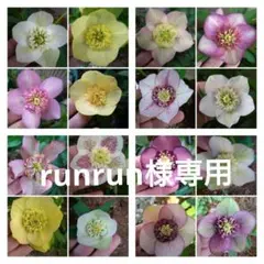 runrun様 リクエスト 2点 まとめ商品