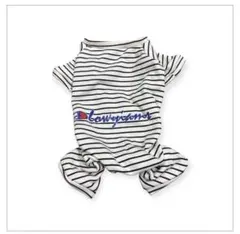 Item thumbnail for item 0993dc0c-4f11-4bc4-a31e-5ecfef495403