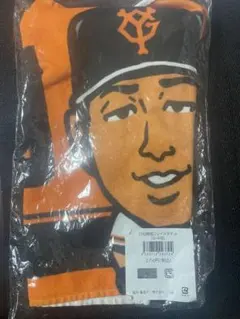 Item thumbnail for item a3621d13-c588-4588-81f3-cee2cd2cbaac