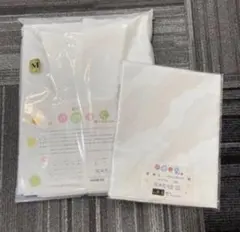 Item thumbnail for item d012e6bb-89a9-46ad-a6fa-f75978997c06