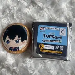ハイキュー!!タイトーくじ F賞ふわふわ缶バッジ 影山飛雄
