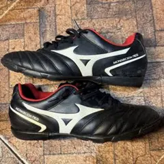 ミズノ モナルシーダ NEO