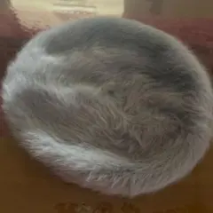 Item thumbnail for item 94e92b3e-078a-49cd-8557-c0d756d1a92b