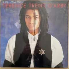 Terence Trent D'arby レコード　12inc