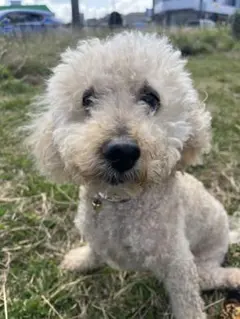 アスキン様専用