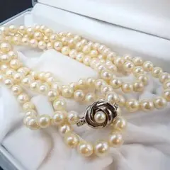 希少✨】TASAKI ベビーパール ネックレス フクロウ silver 箱付 - メルカリ