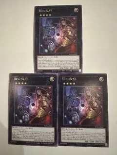 SUDA-JP047 蝕の双仔　3枚