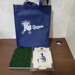 Item thumbnail for item fd585222-5474-4ce8-993c-c4e7a66186a2