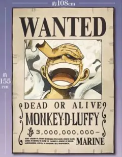 ワンピース ONE PIECE　モンキー・D・ルフィ 手配書ブランケット　ニカ