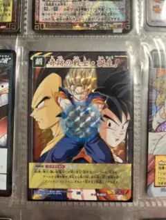 ドラゴンボール トレーディングカード D-022
