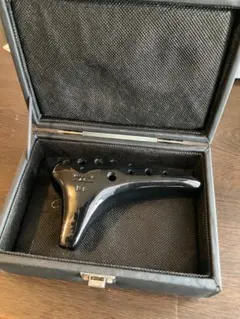 Item thumbnail for item 485515a0-538c-4d11-b09a-96544819ff3c