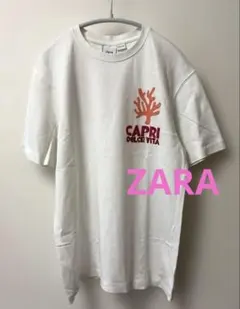 ZARA ASSOULINE CAPRI DOLCE VITA Tシャツのサムネイル