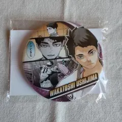 ハイキュー　コレクション缶バッジ　MEMORIES　メモリーズ　第1弾　牛島若利