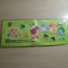 ぽこあポケモン　特典　タオル