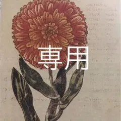 ☆モンキチ☆プロフ必読(^-^)/様専用