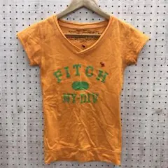 アバクロ 古着 カレッジプリント風 Vネック ヘラジカ 刺繍入Tシャツ