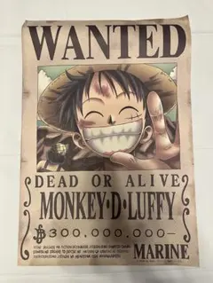 ニカ　手配書 2025年最新】ニカ 手配書 psa10の人気アイテム - メルカリ