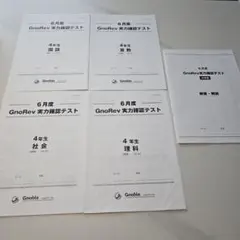 Gnoble 5年生 7月度 GnoRev 実力確認テスト 4教科セット - メルカリ