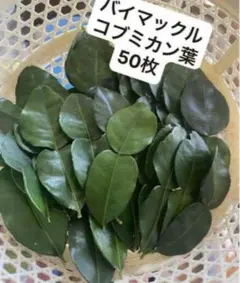 フレッシュ コブミカンใบมะกรูด葉　(バイマックル葉)1kg約。+オマケ フレッシュ コブミカンใบมะกรูด葉 (バイマックル葉)1kg約。+オマケ