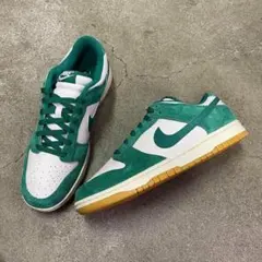 Nike Dunk Low SE HQ1519-030 29㎝