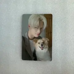 ENHYPEN ニキ アンケート トレカ