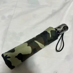 Item thumbnail for item e827832f-6557-455e-819f-d7a7e5c35843