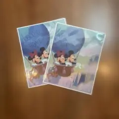 ミッキー・ミニー バルーンアート　アウラニ　DVC 非売品　2枚セットのサムネイル