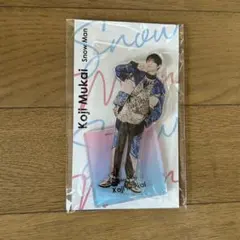 向井康二 アクスタ