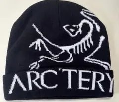 ビーニー　ニット帽　帽子　スケーター y2k グランジ