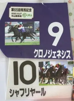 【レース実使用ゼッケン3色】レースゼッケン ゼッケン 競馬ゼッケン 東京競馬場 レース実使用ゼッケン3色】レースゼッケン ゼッケン 競馬ゼッケン 東京