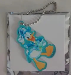 ディズニーシー　ドナルドダック アクリルキーホルダー　新品　未使用