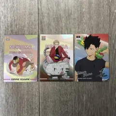 ハイキュー‼︎ ジャンフェス TOHO Pictas 音駒セット